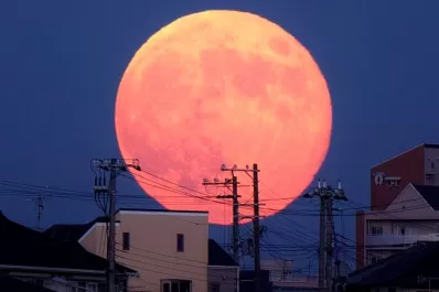 La Luna Rosa iluminará este fin de semana: a qué hora y cómo podrá verse