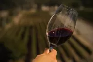 Bodegueros advierten que, por el cepo a las importaciones, en 45 días podría faltar el vino