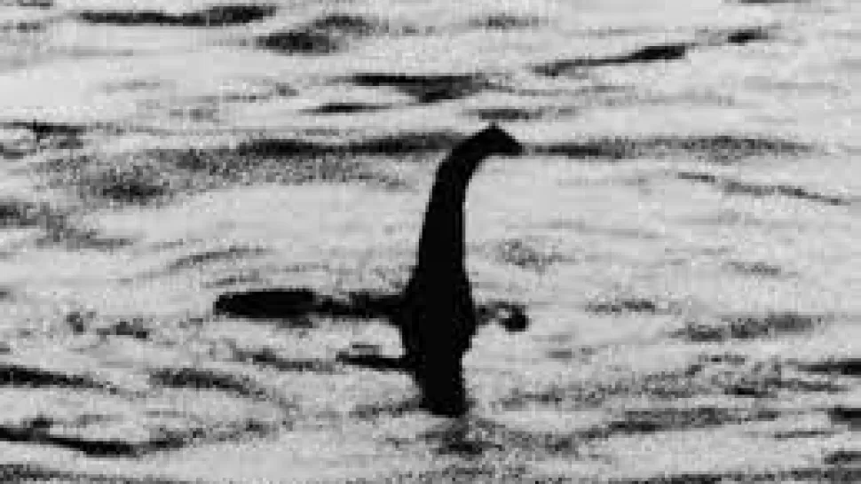 La última teoría sobre el monstruo del lago Ness: es el pene de una ballena