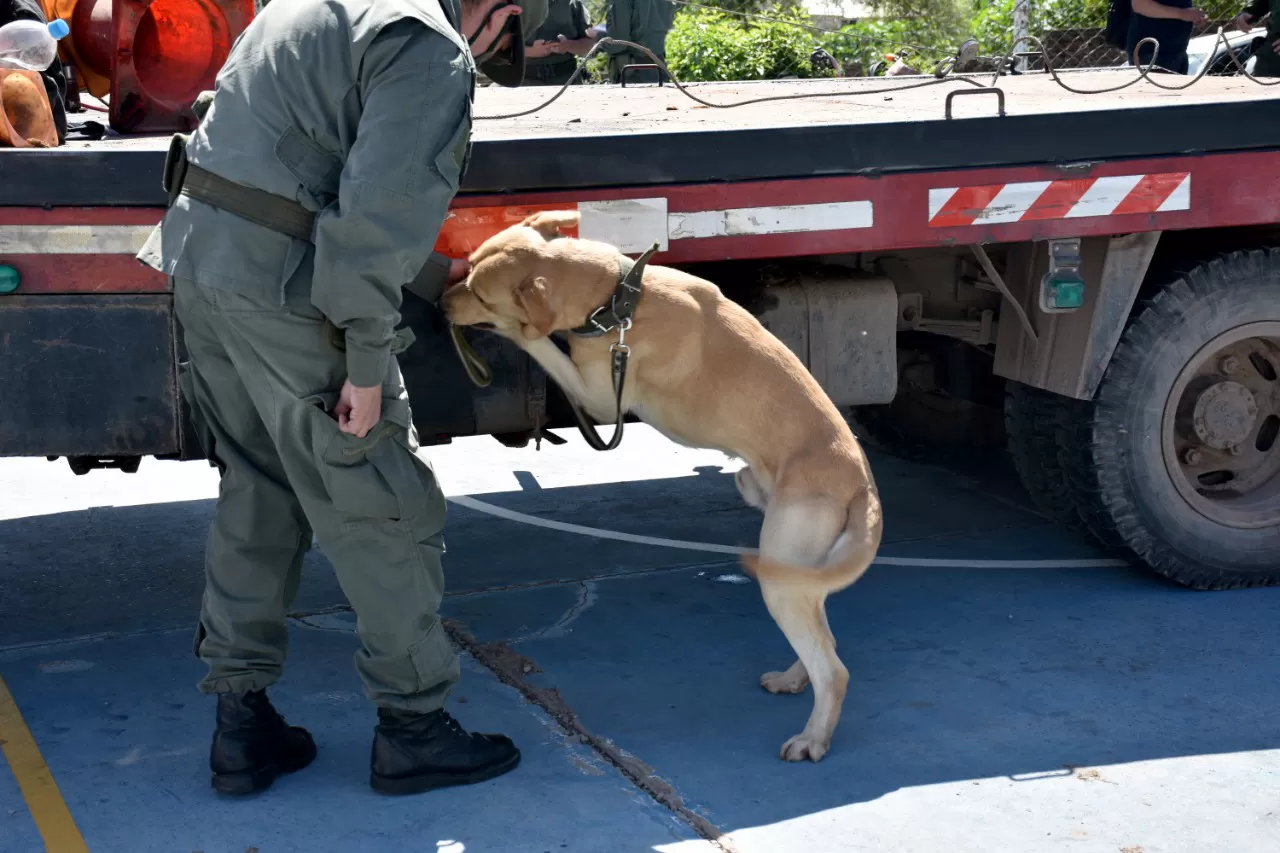 Llevaba más de 500 kilos de cocaína en un falso piso de una grúa