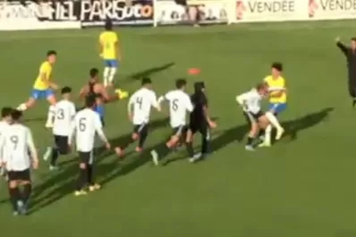 Video: insultos y trompadas en la final del Mundial Sub-17 entre Argentina y Brasil