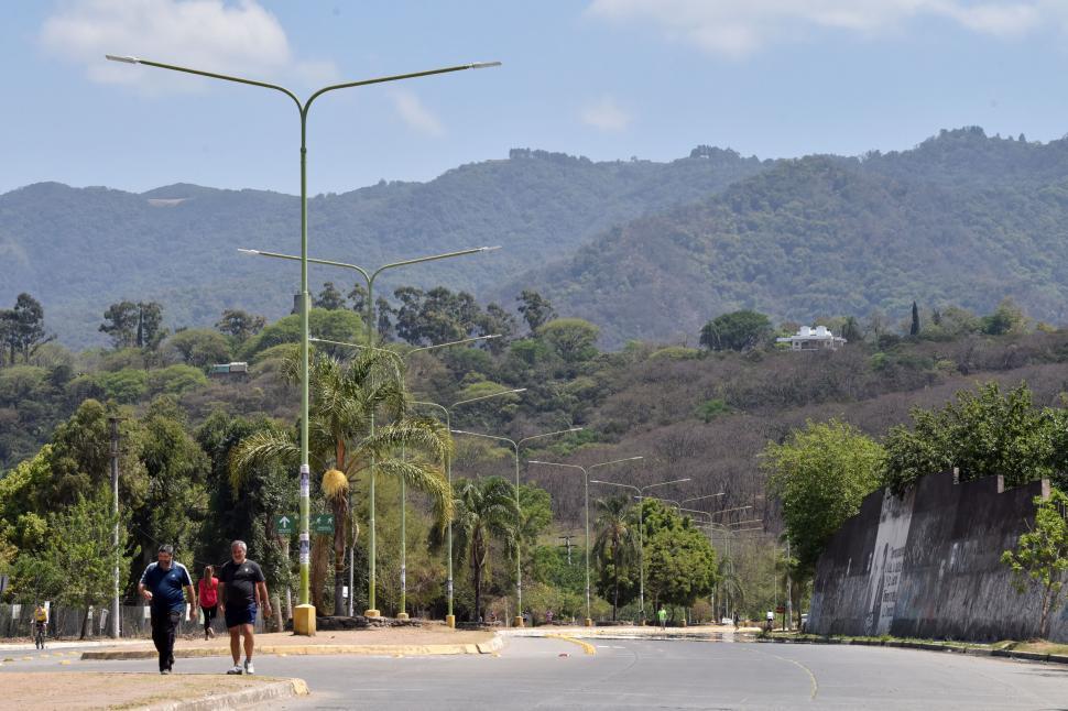 LA GANADORA. La avenida Perón es la más arbolada de todas las arterias de Yerba Buena, aunque muchos ejemplares son jóvenes y no han alcanzado gran altura. LA GACETA/INES QUINTEROS ORIO