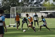 Las apuestas de “Pusi” en Atlético