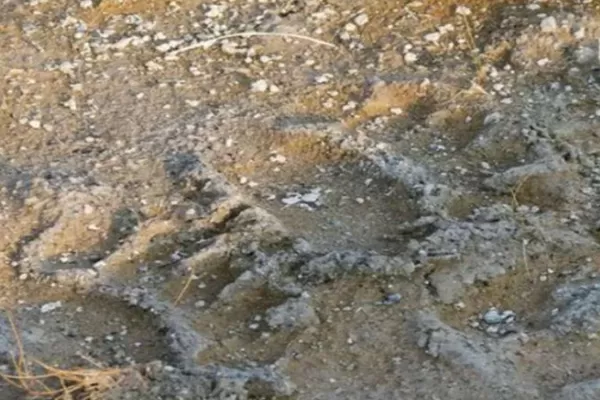 Mito o realidad: un campesino asegura que vio al monstruo ucumar cerca de Tucumán