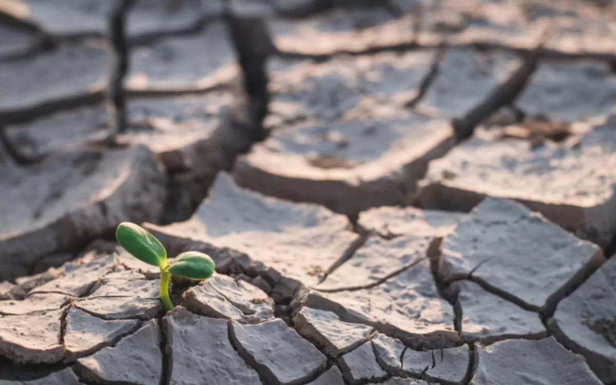 La Tierra que habitamos