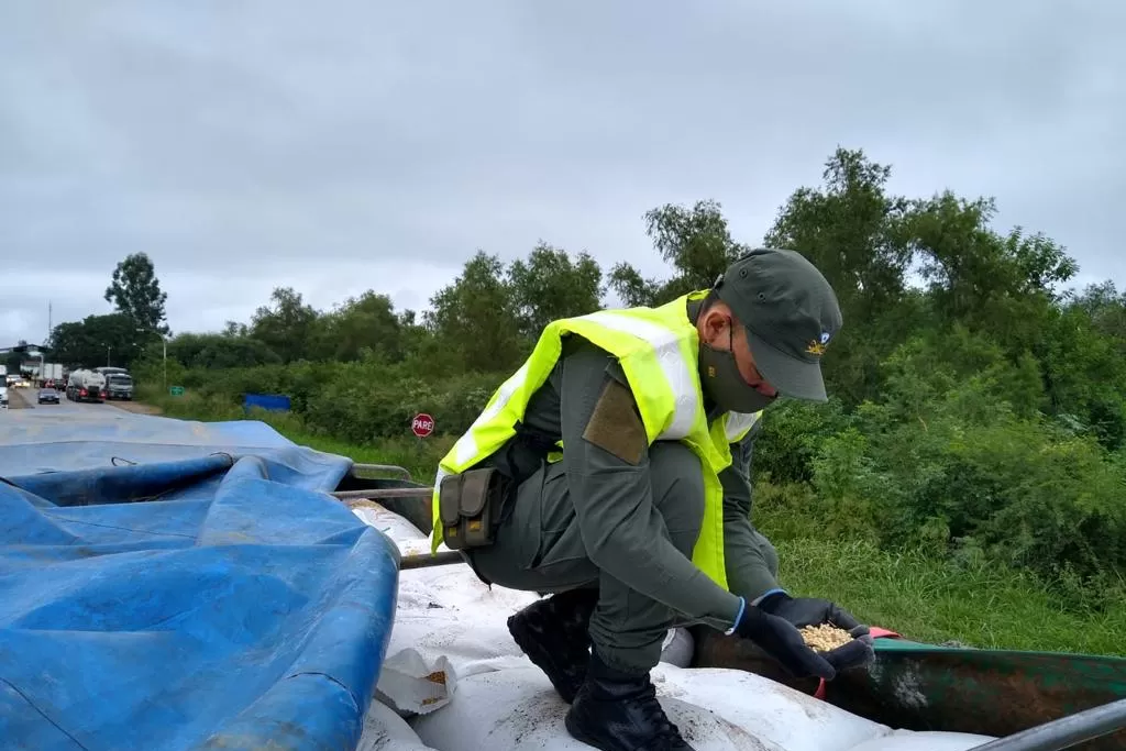 EL GENDARME detecta soja no declarada 