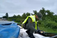 Gendarmería secuestró 88 toneladas de soja en la frontera