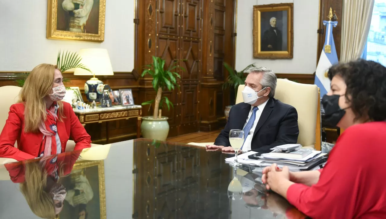 ENCUENTRO. Alberto Fernández se reunió con especialistas en Salud Mental de la OMS y de la OPS.