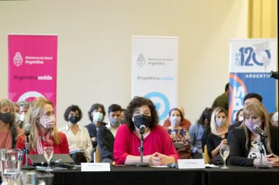 Vizzotti participó del encuentro del Consejo Federal de Salud Mental y Adicciones