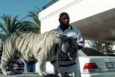 Día del animal: las más insólitas mascotas de los famosos