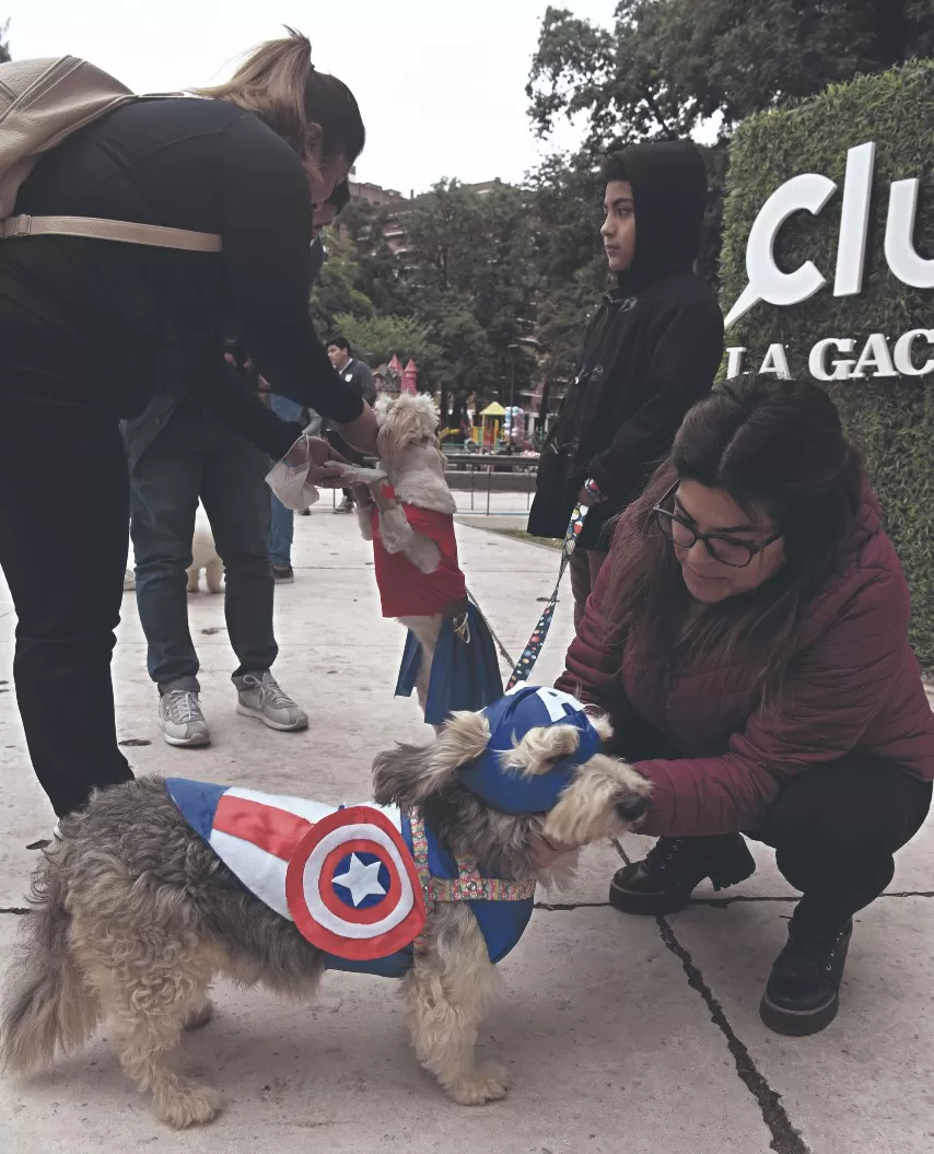 Los animales festejaron su día a puro lujo