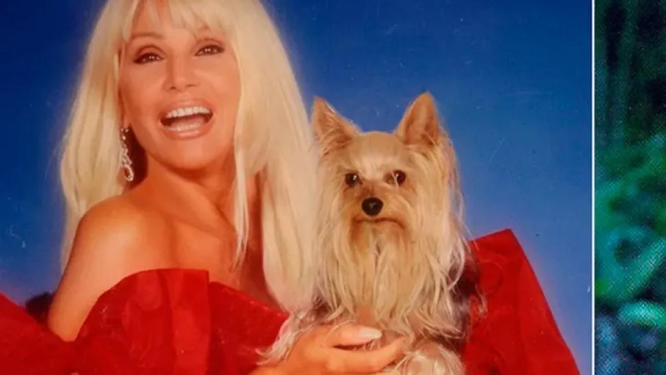 Día del animal: las más insólitas mascotas de los famosos