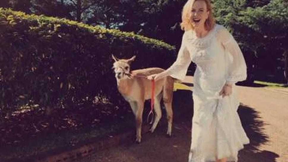 Día del animal: las más insólitas mascotas de los famosos