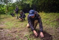  Plantarán un árbol en la yunga tucumana por cada camión vendido