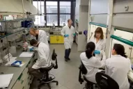 Barcelona: desarrollaron el primer anticuerpo capaz de bloquear la metástasis