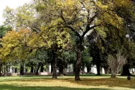 Vacaciones de invierno: la capital se prepara para recibir a los turistas