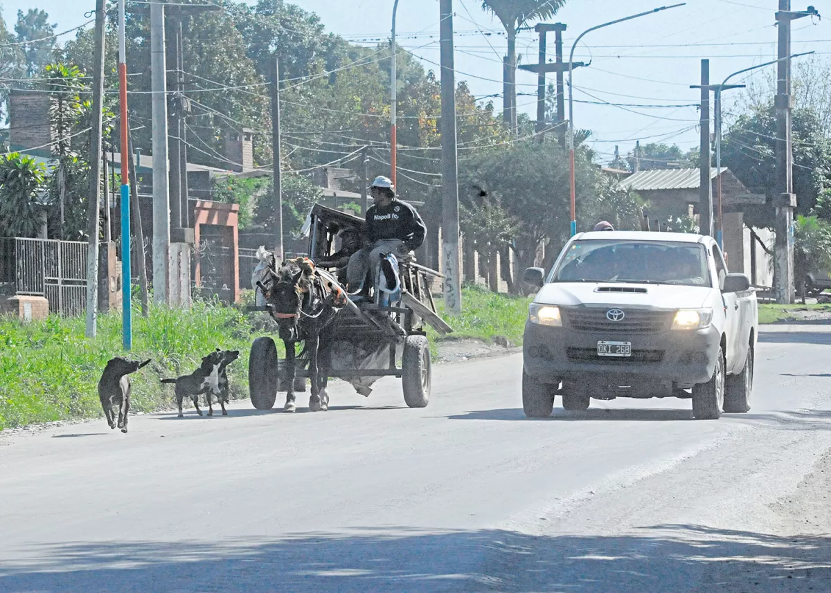 LA GACETA/FOTO DE ANTONIO FERRONI