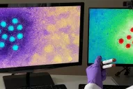 OMS registró más de 200 casos probables de una misteriosa hepatitis en niños