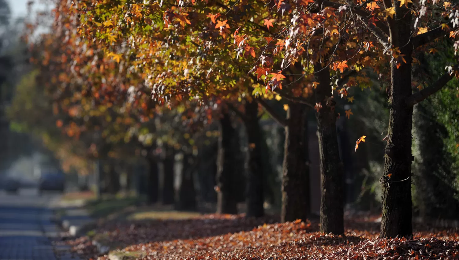 AL SOL. El otoño brindará al menos una semana de días cálidos en Tucumán.