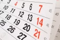 Habrá cambios en el calendario de pagos de Anses por el Censo 2022 y el feriado patrio