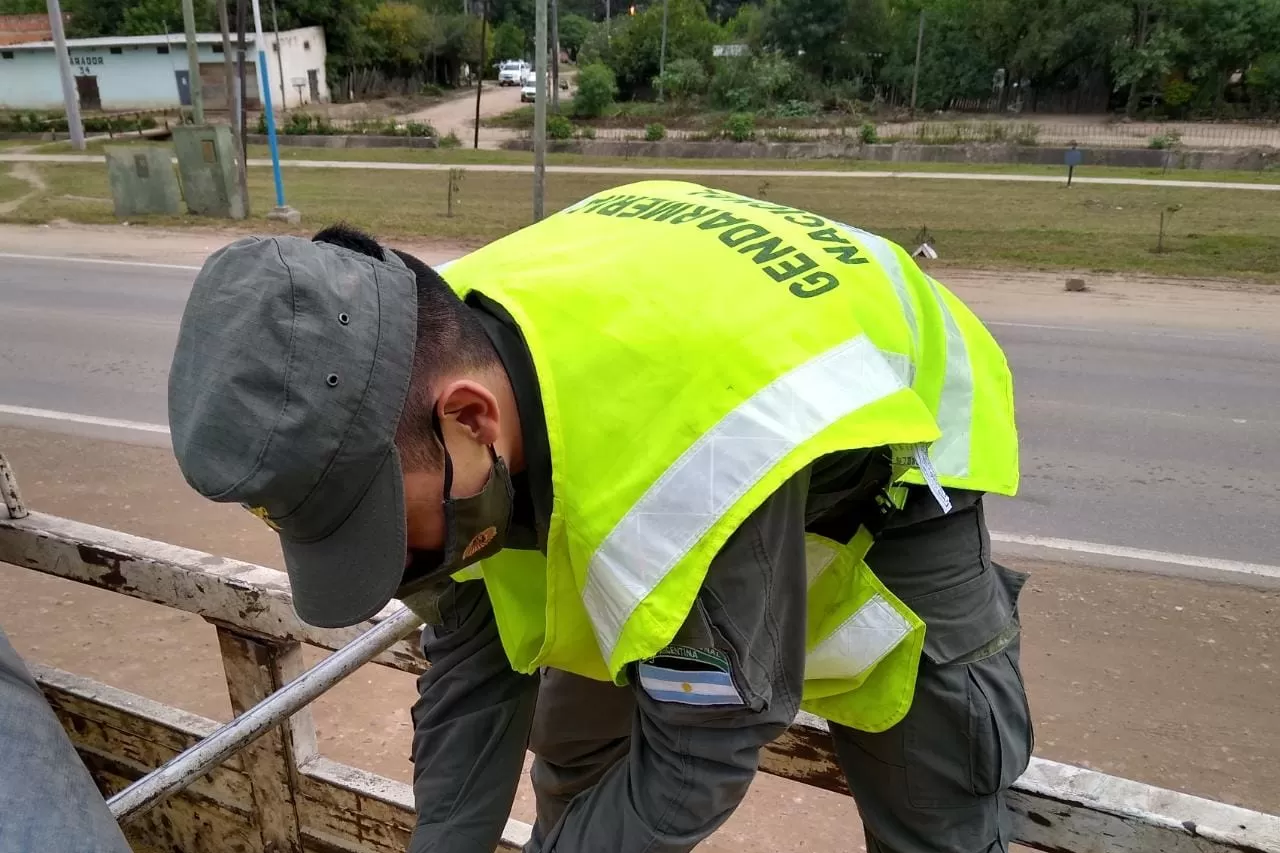 Gendarmería interceptó tres camiones que transportaban más de 106 toneladas de soja sin aval legal