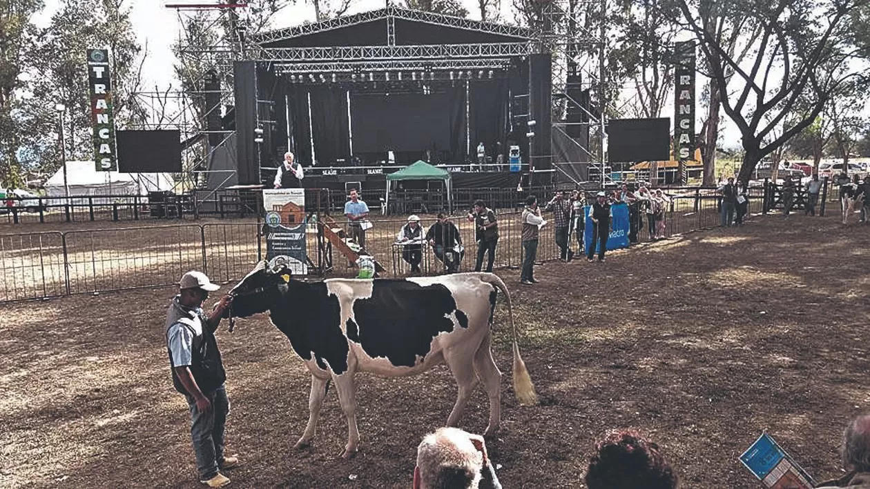 Hoy finaliza la tradicional Expo Láctea, con conferencias para el sector