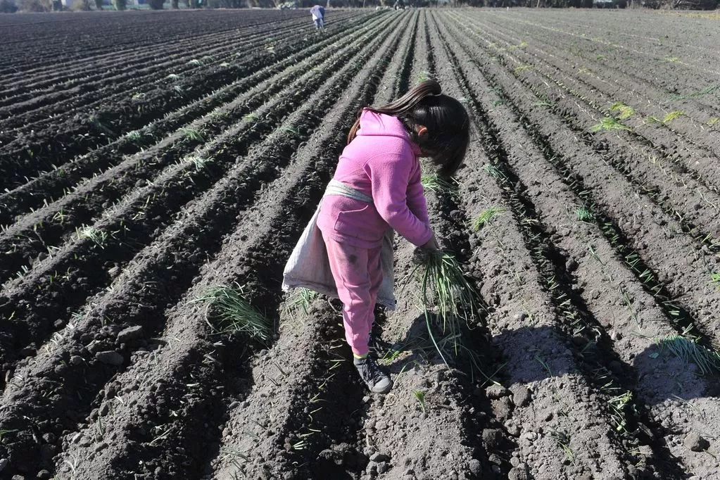 ALERTA. Este problema requiere del trabajo del Estado y de la sociedad civil.  