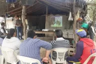 Ganado en Tucumán para el manejo sustentable del Parque Chaqueño