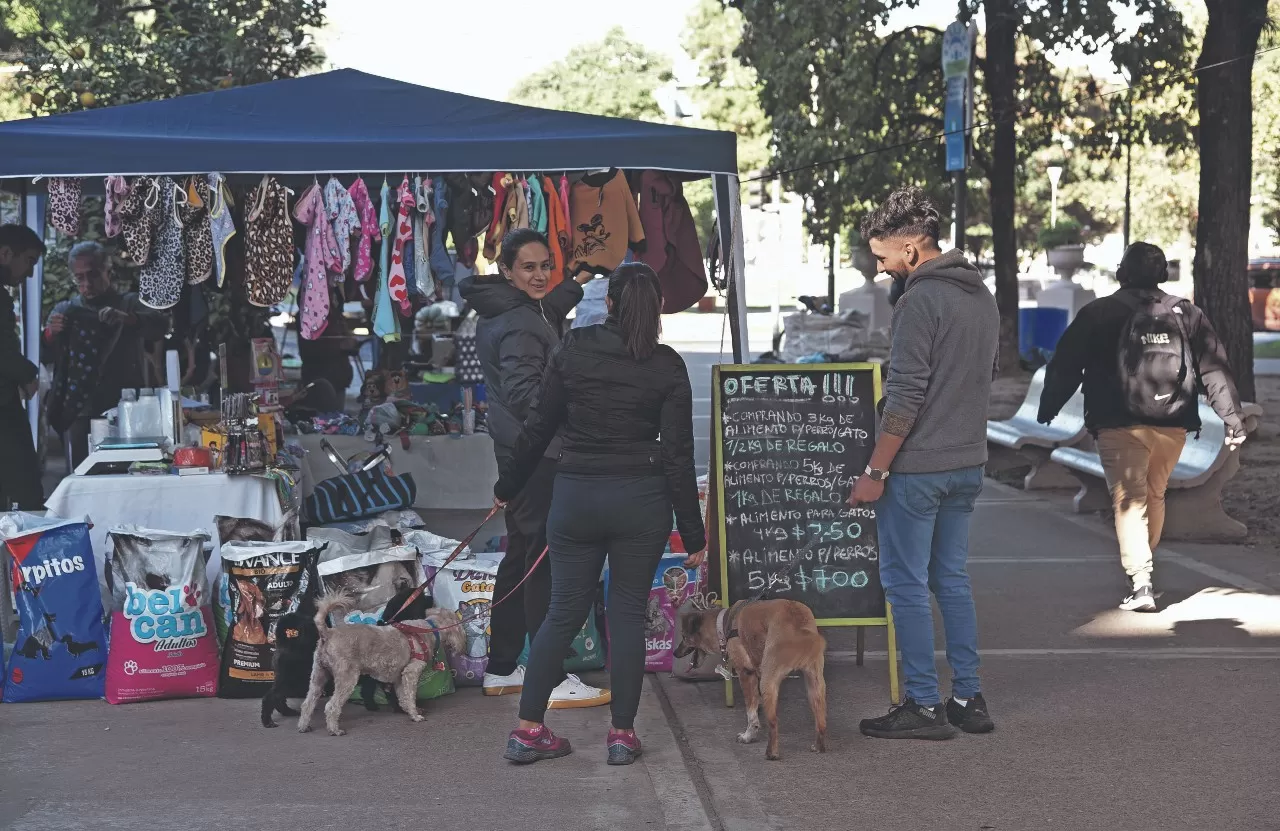 El Mercado en tu Barrio: dónde estarán los puestos esta semana