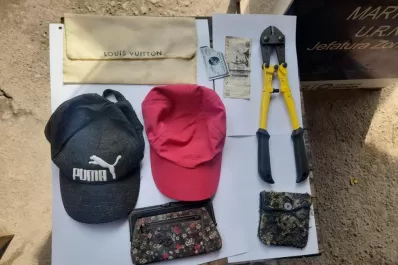 Prisión por 30 días al acusado de robarles a sus vecinos