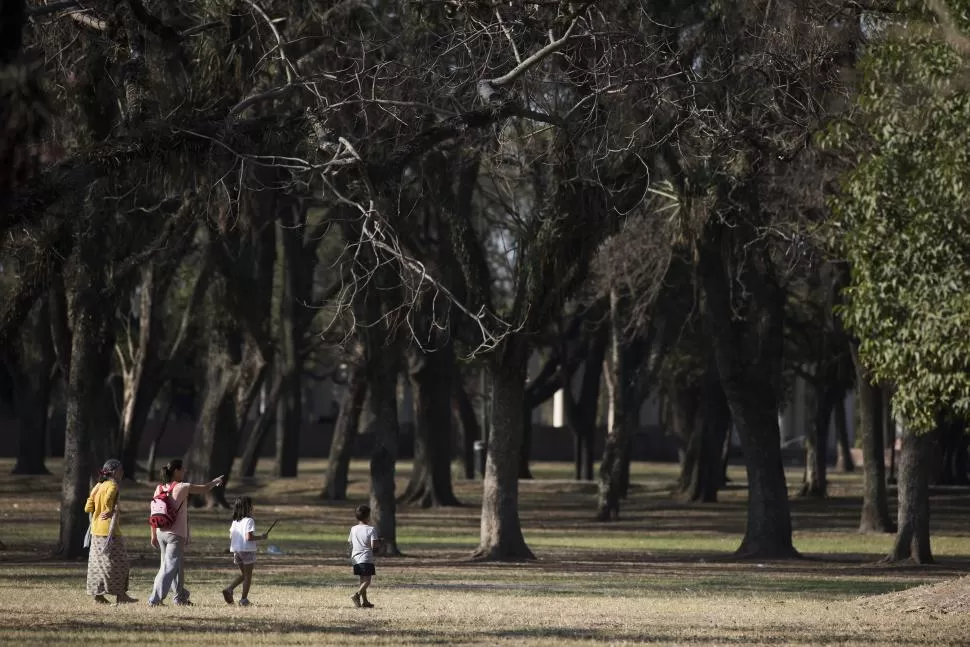 ENTORNO IDEAL. El parque será el escenario de la actividad ecológica. 