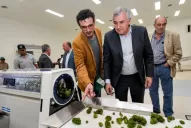 Cannabis medicinal: la nueva ley desató una interna política entre la UCR y el Pro