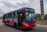 Paro de colectivos: horarios y recorridos del EcoBus para viajar desde Tafí Viejo