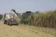 Zafra 2022: agregan a la crisis, menos materia prima