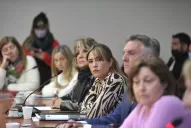 Una referente K de Tucumán asumió en la comisión de Personas Mayores de Diputados