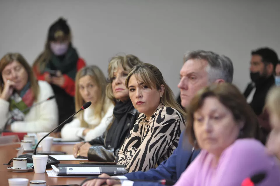 Mabel Carrizo, diputada nacional por Tucumán del Frente de Todos y dirigente kirchnerista.