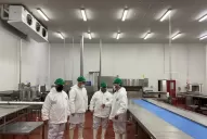 NOA: veterinarios en frigoríficos