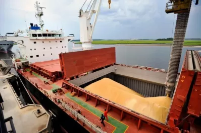 Putin podría permitir la exportación de cereales