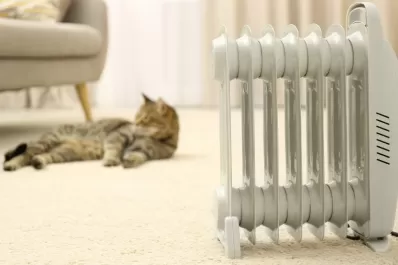 Cuáles son los calefactores que más electricidad consumen: consejos para ahorrar