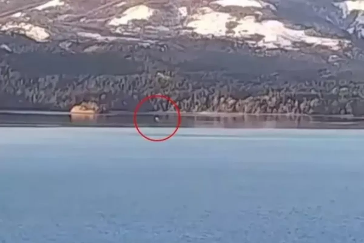 Video: aseguran que volvió a aparecer el Nahuelito en Bariloche