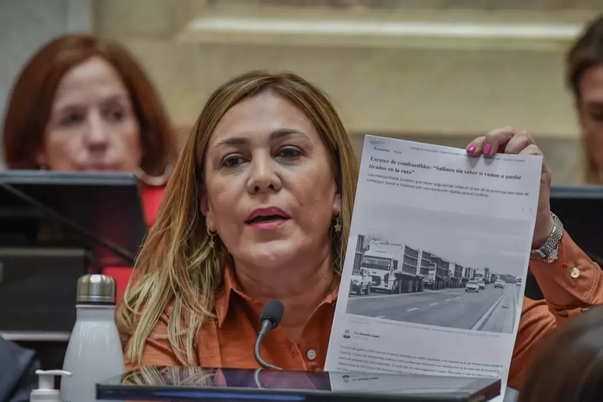 BEATRIZ ÁVILA. La Senadora citó ayer dos artículos de LA GACETA para dar cuenta de los problemas de los tucumanos. 