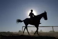 El Gobierno promulgó la nueva Ley de Carreras Cuadreras: las claves de la norma