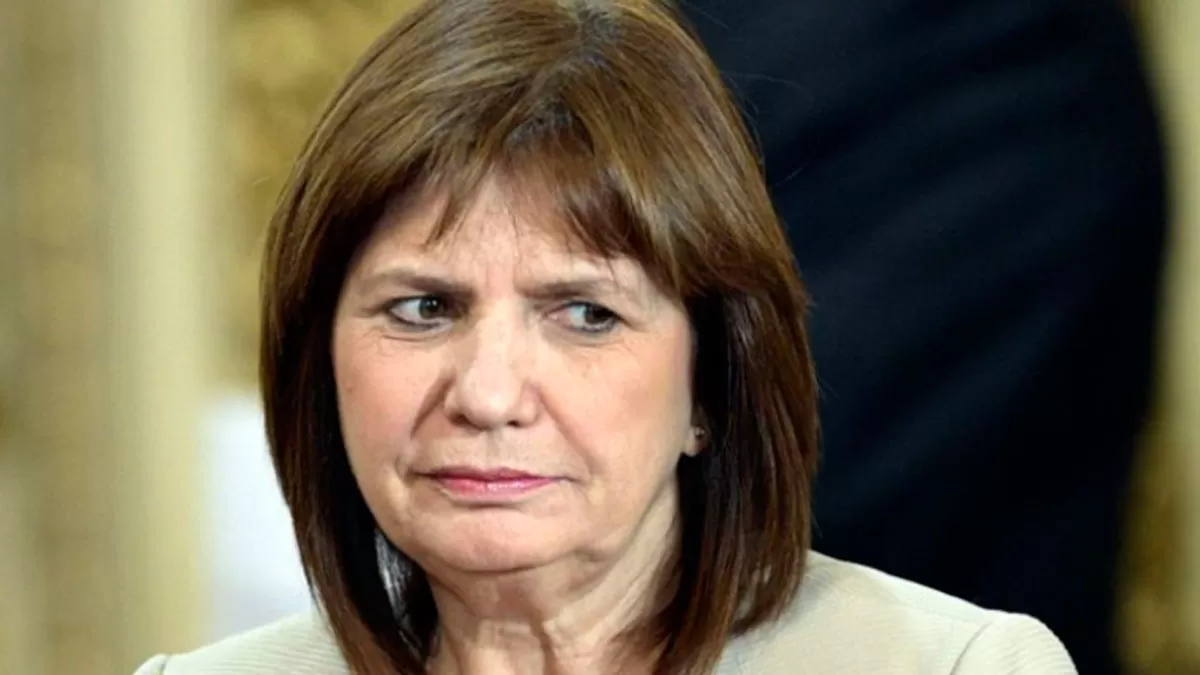 Patricia Bullrich, presidenta del PRO