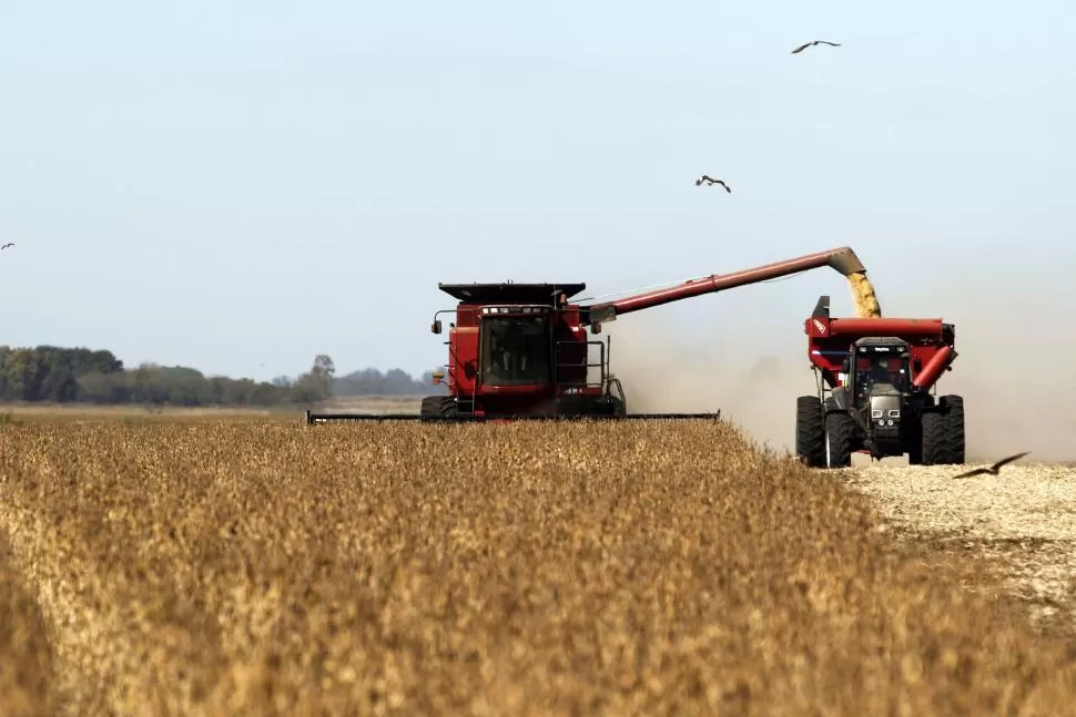 Maquinarias agrícolas.