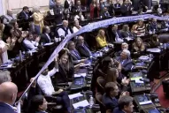 La oposición le dio media sanción a la Boleta Única de Papel y ahora el debate se instala en el Senado