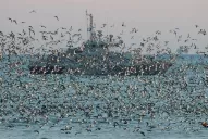 Las minas se interponen entre los granos de Ucrania y su salida al mundo