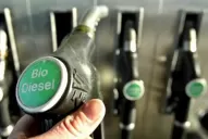 La Nación elevaría a un 15% el corte de biodiesel en el gasoil