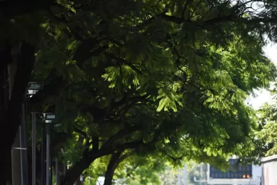 Legisladores oficialistas impulsan un registro de bicicletas para mitigar los robos