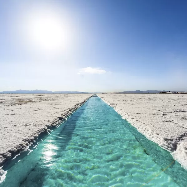LAS SALINAS. Este territorio caracterizado por un paisaje de puro manto blanco posee una superficie de aproximadamente 200.000 hectáreas. 