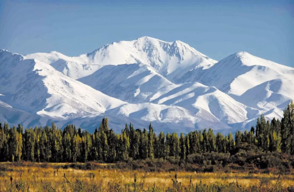 El Previaje y un recordatorio clave: ¿en qué comercios se puede utilizar la plata?